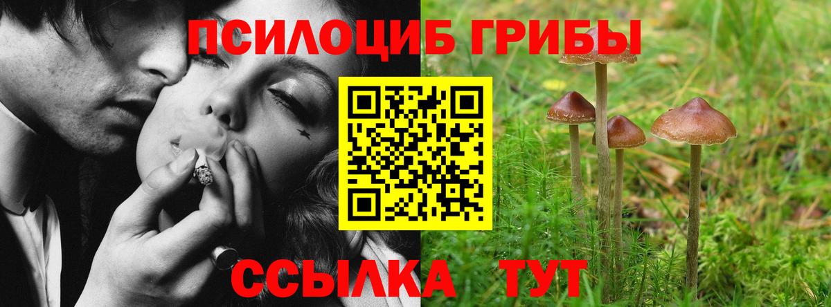 Югорск  Галлюциногенные грибы Cubensis  Вход с VPN  Псилоцибиновые грибы мицелий 