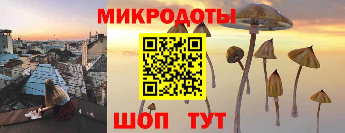 Галлюциногенные грибы Psilocybine cubensis Югорск